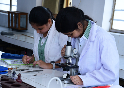 Experiential Learning